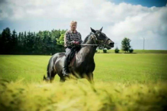 03f0eda8-9e44-4df1-98d5-42f19f33d282