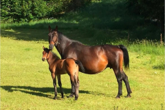 09716d24-7b07-4d8a-972a-f63b09e652b1