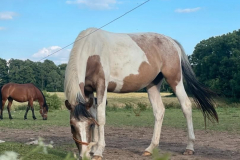 0fa3580b-ca59-47b9-878a-3f3f37889dc1