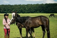 26cb0c87-b9de-4b96-b5b3-6a44aadfb9a2