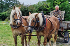 2a1ca5d9-abfc-4219-9a24-e1ee52e435d3