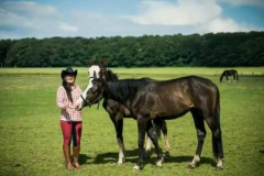 2e838521-0263-44be-9078-c1842a6b19fa