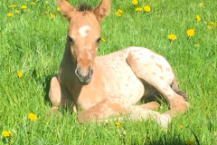 394192e8-f073-4ed3-81b5-9261c70cabca