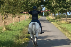 71a69bad-bdb1-4617-b098-698f4032d514