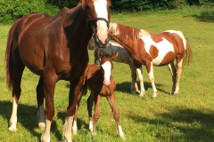 7d8c472d-19d1-49e1-a619-8cc99f836c59