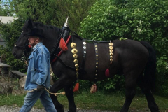 989c1a96-6d64-4eff-bc55-1f4b6b1bfbc6