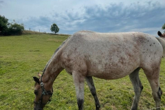 a35e88a6-f1db-4fb9-93e5-6851569e46cb