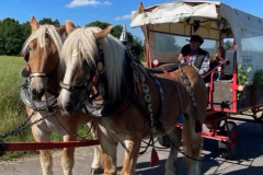 a54f2009-a6b3-4ad8-9735-47831c211ccd