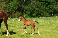 ad231a69-9280-450e-9326-56f85bf144e0