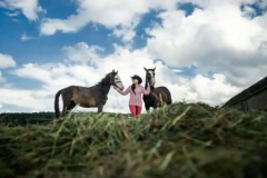 c1be718c-7088-4713-9dee-9135ba94887d