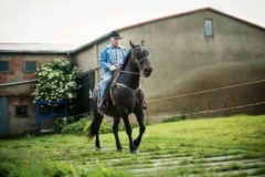 c75ed803-09df-45de-9d2d-088a27b00bf1