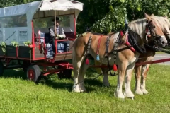 cc9f80a4-4e6a-4281-8452-fad6f33f906b