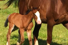 cecf1db5-f955-4124-9444-d748135b7856