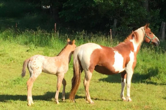 d03d83bf-d397-49a1-ab97-51b69a74f4b6