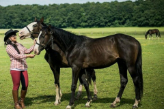 d5d4040d-2b6c-4581-971c-85523cfec43d