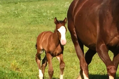 e8947d63-fa14-4cbd-8f13-d73dbe8e9188