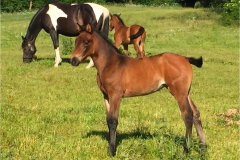 e9581c14-ff9a-4579-8429-0c12c5d20584