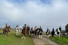 fc3f612c-fb10-4b98-a83f-b26be21dbaab