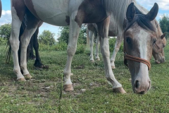 3ded8ce2-d199-4d49-9791-6112242048aa