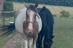 efd3f54b-27a1-448f-842e-5d6eba35d133