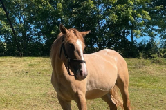 54532855-8395-41f5-8c0c-d765467ec2b5