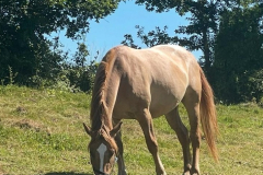 f852a78d-f844-4efb-9b52-32843a986cf2