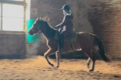 7d8f78ec-3096-4dbc-8775-7332fc4388e9