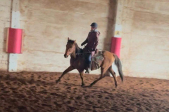 c579826b-ab11-4d77-bd58-b50416a62784