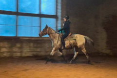 19e7bc4a-ebd4-4c45-bca3-895c9383cabb