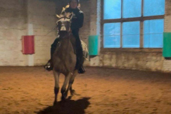 98c18690-71b6-41e3-b404-0b50d6319a66