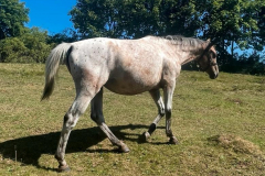 106257b4-56ec-4ca9-a62a-d3b23cb5b6f7