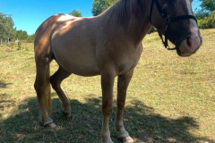 64a959b6-c210-4301-bed8-f15fc72a990d