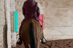 84cfc011-0563-46c4-b961-1e0acfaf1888