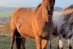 8a1a900f-6105-482f-be02-32862737e156