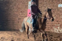 8bdaeaa5-c203-4cf0-95df-3e53a0454d3b