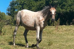 baf98ce8-627e-4b4a-b3c4-788ec0b909fd