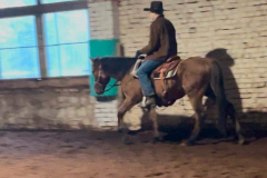 c3cbd10e-2489-4466-9587-9d19c0177e0b