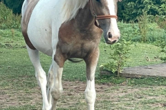 e6a8be10-3d81-4086-a485-65b4e3f5c90d