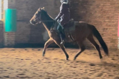 e8691678-478e-4f69-9880-1b6ea99b9658