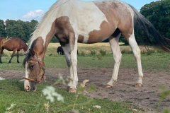 f5c1eae1-31a1-4106-8501-48978bfccf0a